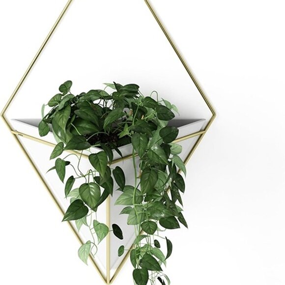 NEW  Hanging Planter Vase Wall Decor, Pot and Container for Succulents - Picture 4 of 9